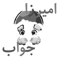 بدون تصویر